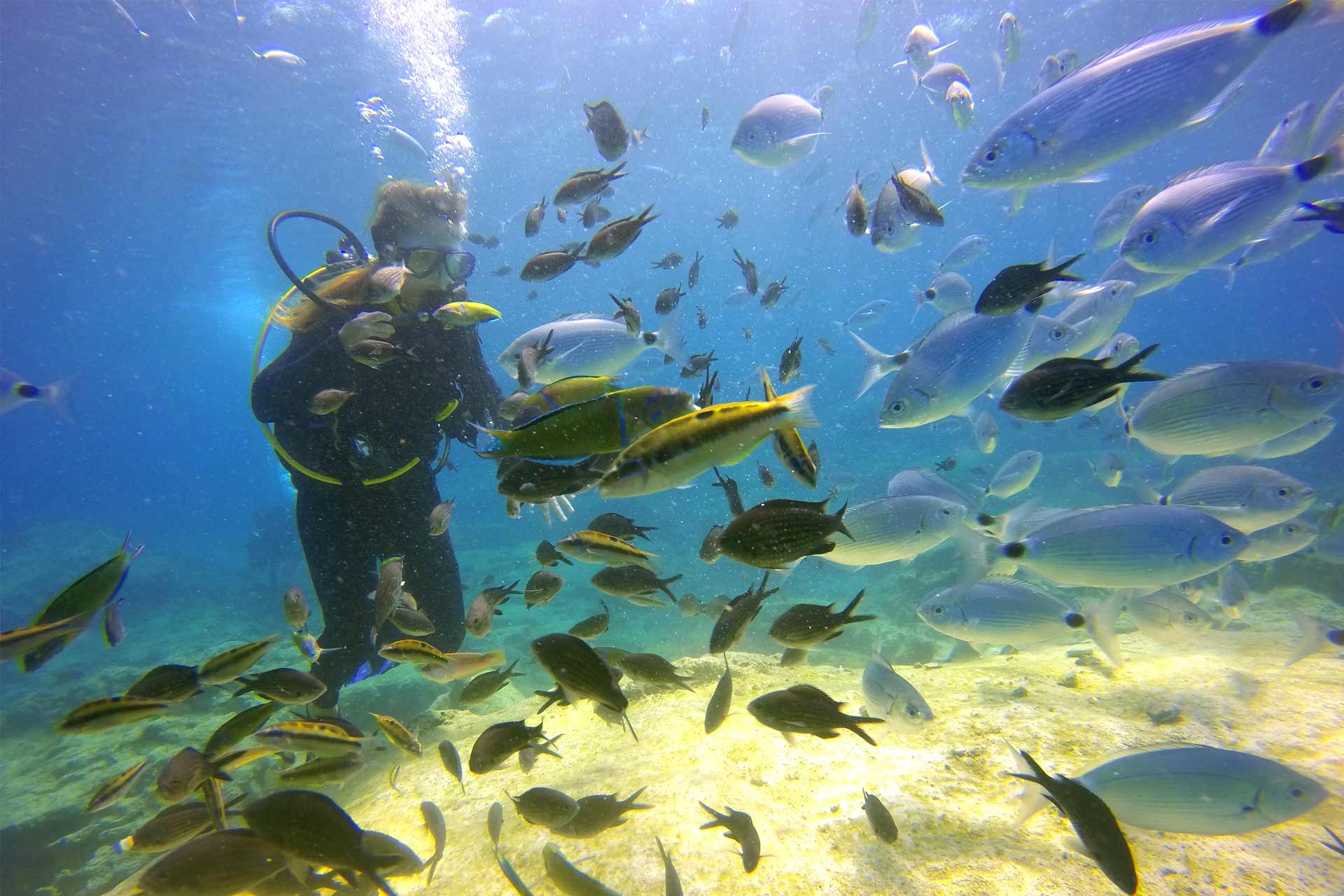 BEYOND KOKO SAVUSAVU: EXPLORING VANUA LEVU