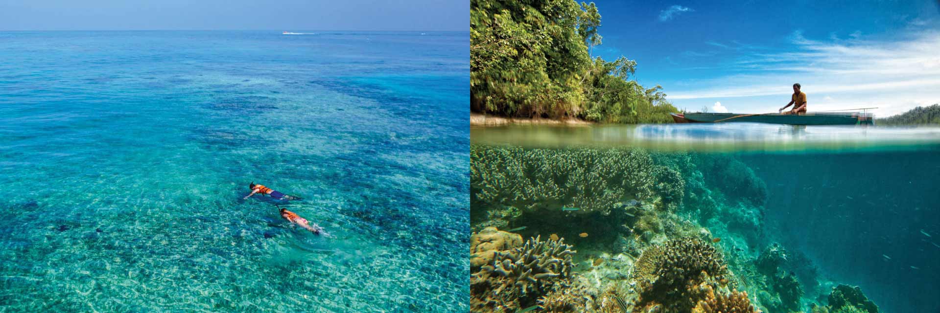 SNORKEL AT SPLIT ROCK & GO GAME FISHING